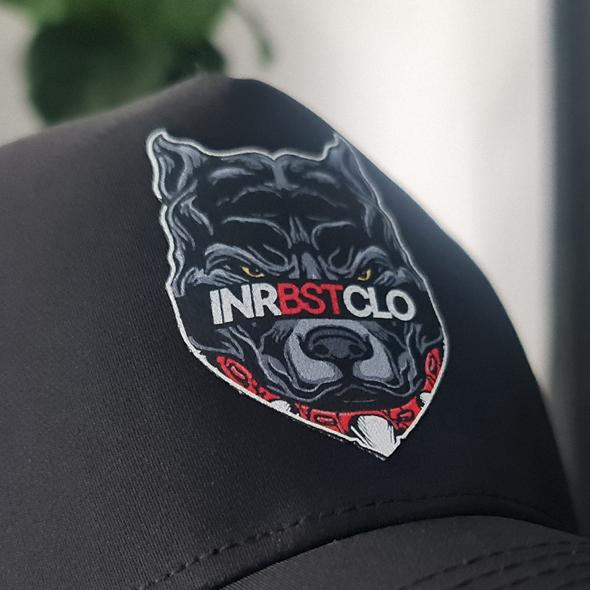 PITBULL LEATHER PATCH BLACK SNAPBACK image 1
