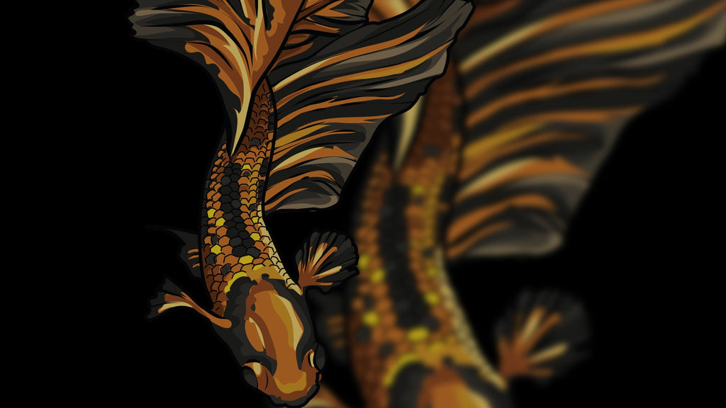 BLACK & GOLD FIGHTING FISH TEE image 1