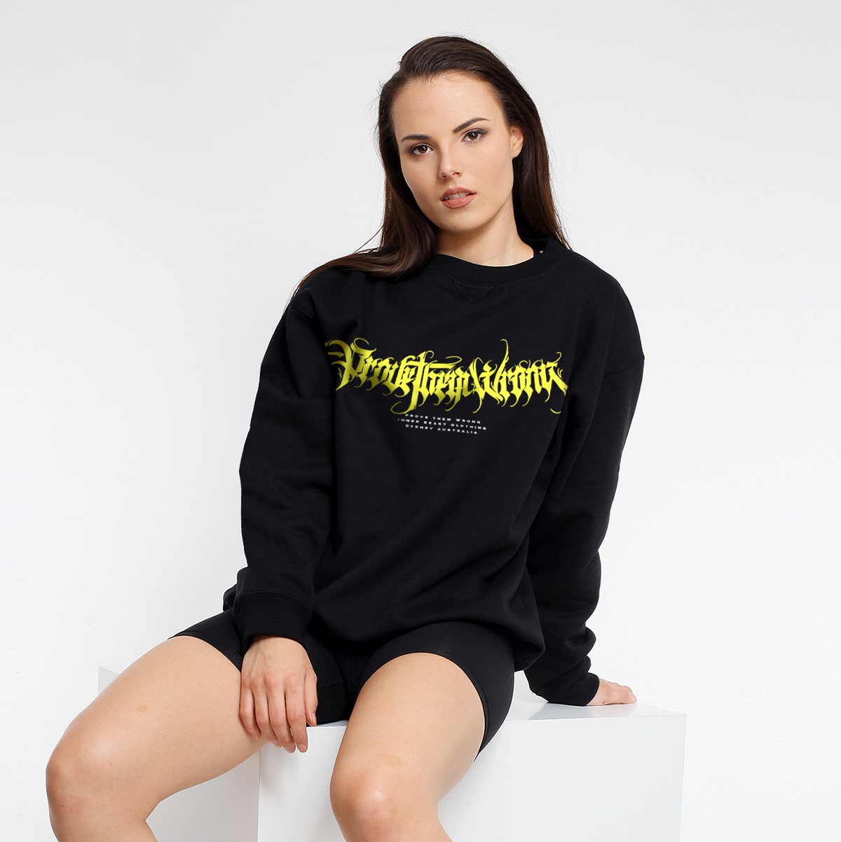 PROVE THEM WRONG 320 GSM JUMPER image 0