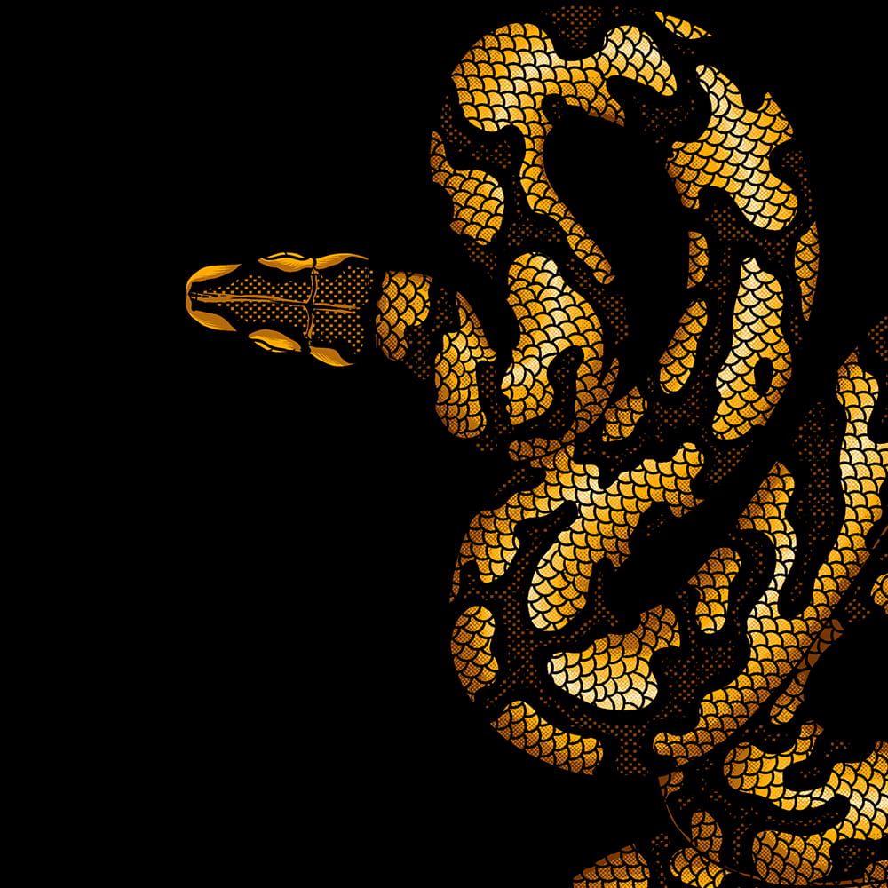 YELLOW PYTHON BLACK 3 LAYER FLEECE JOGGERS image 1
